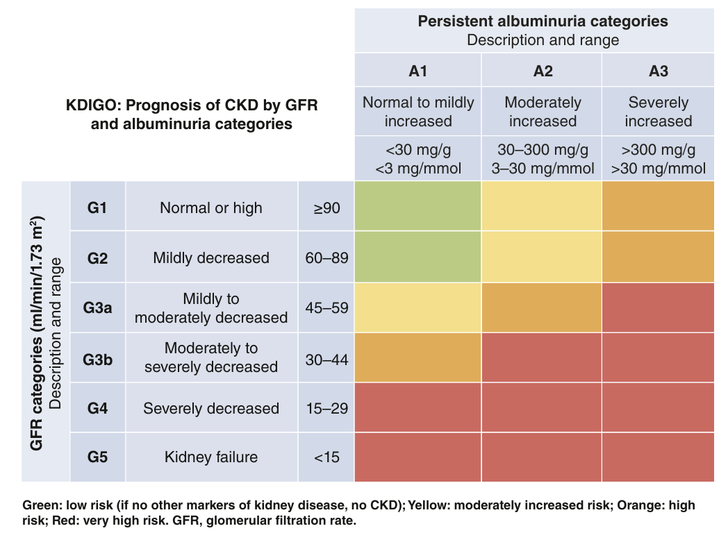 about-chronic-kidney-disease-5-stages